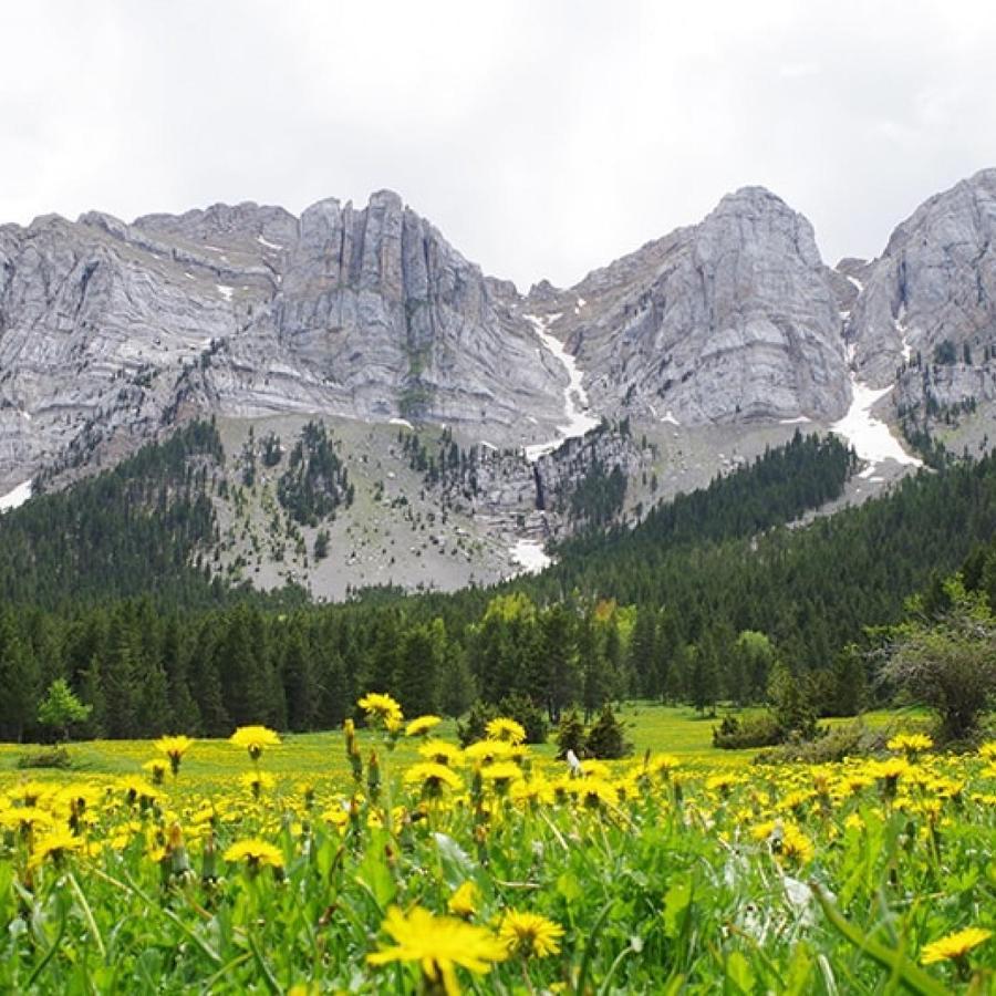 Atico Con Encanto En Bellver De Cerdanya Daire Dış mekan fotoğraf