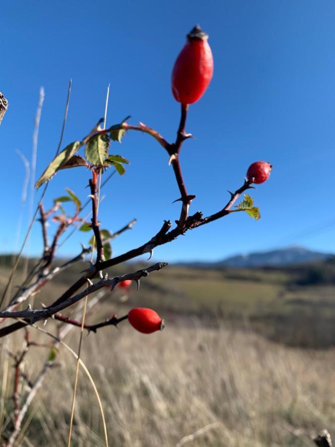Atico Con Encanto En Bellver De Cerdanya Daire Dış mekan fotoğraf